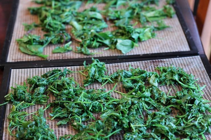 dehydrating greens