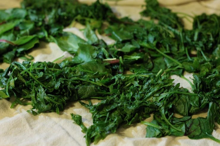 steamed kale spinach greens ready to dehydrate