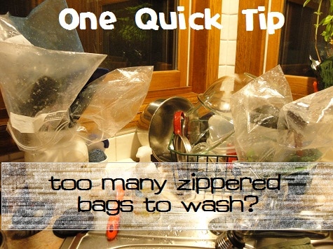 Reuse Zippered Bags but Save on Dishes