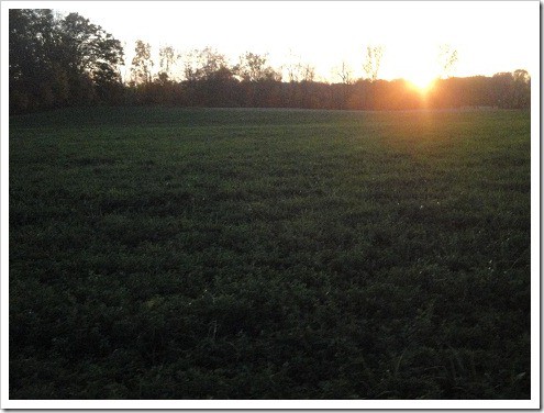 farm fields tractor smaller