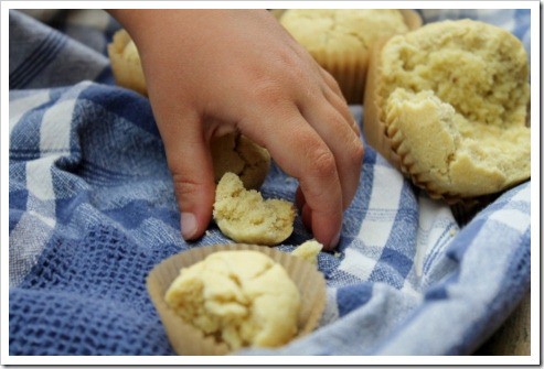 Grain Free Biscuit Muffins (21) (475x317)