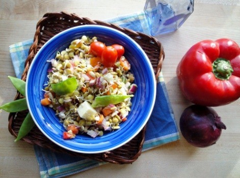 summer sprouted lentil salad
