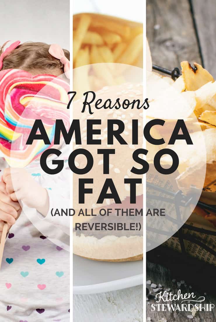 7 Reasons America is fat - Tips for staying healthy