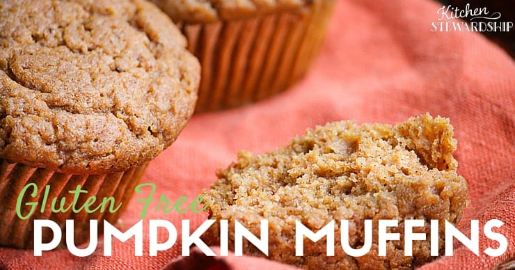 Easy Gluten-free One-Bowl Pumpkin Muffins (also egg-free, dairy-free, nut-free, corn-free, soy-free and refined sugar-free) Kid-friendly and delicious