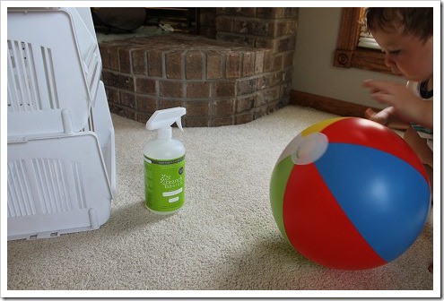 Branch Basics natural carpet cleaner (1)