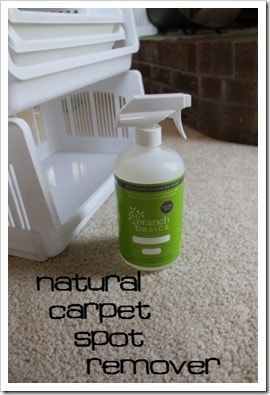 Branch Basics natural carpet cleaner spot removal