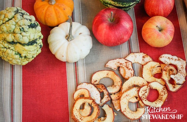 Cinnamon Apple Chips