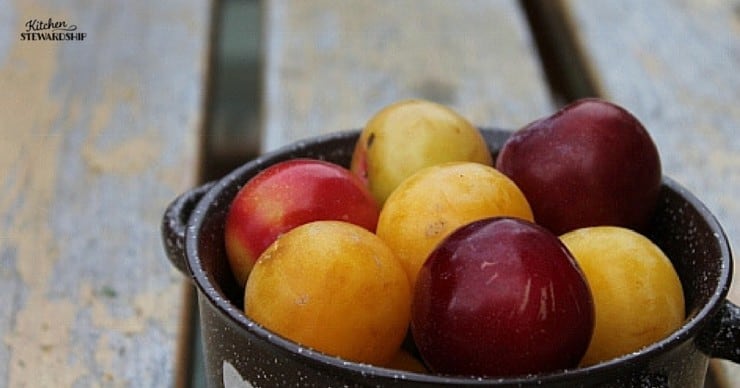 Tons of healthy snack ideas for when you can't bring homemade foods to school but have to have an ingredient list