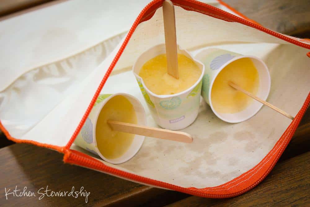 Neat Os reusable zippered bags