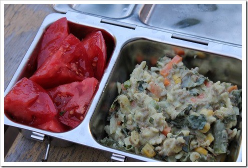 Planetbox simple lunch