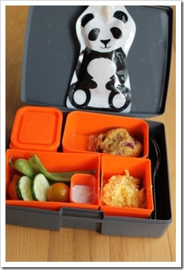 laptop lunch box