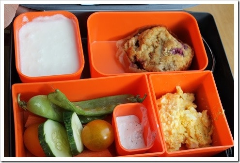 laptop lunch box