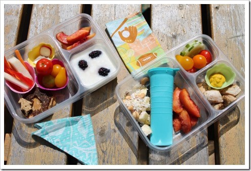 lunch example in Ziploc divided container