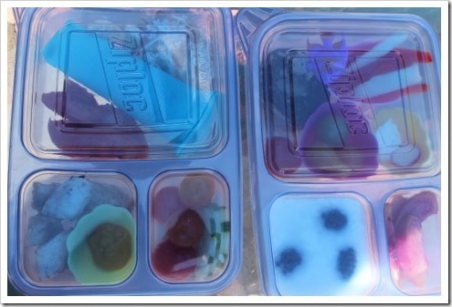 lunch example in Ziploc divided container