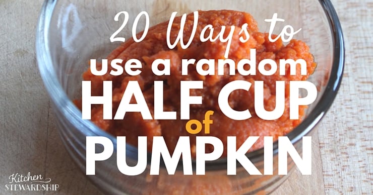 20 Ways to Use A Half Cup of Pumpkin