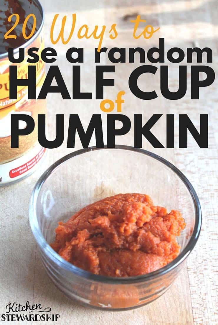 20 Ways to Use a Random Half Cup of Pumpkin