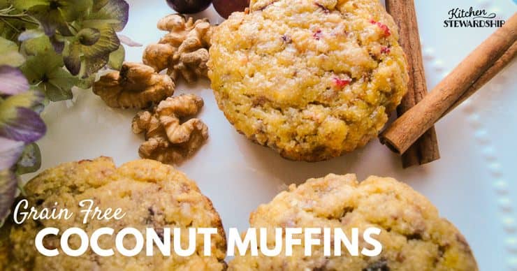 Grain Free coconut muffins, paleo coconut flour substitution