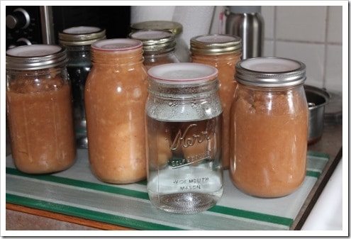 Tattler reusable canning lids canned applesauce