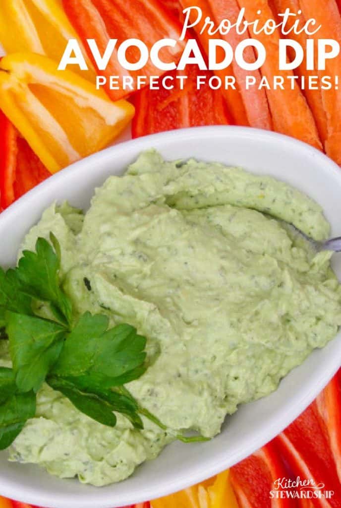 Loaded with probiotics and healthy fat this avocado dip is great for parties or an after school snack.