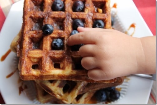 Grain free Cashew Waffles