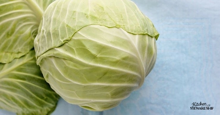 Cabbage 