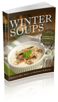 Wintersoup 3D eBook 200