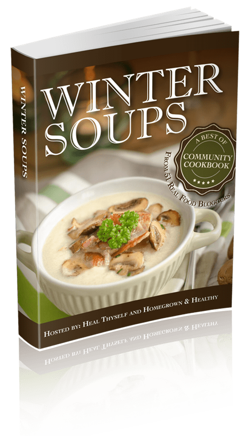 Wintersoup 3D eBook