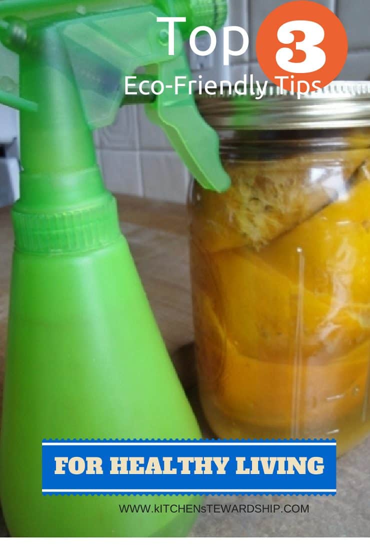 top 3 eco friendly tips