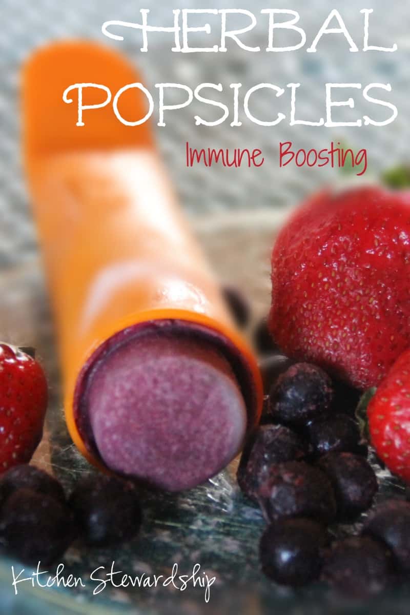 Immune Boosting Herbal Popsicles ~~ yummy AND good for you!