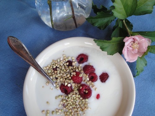 yogurt with gluten free buckwheaties