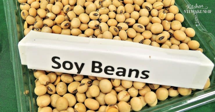 7 Everyday Foods Not Proven Safe For Kids