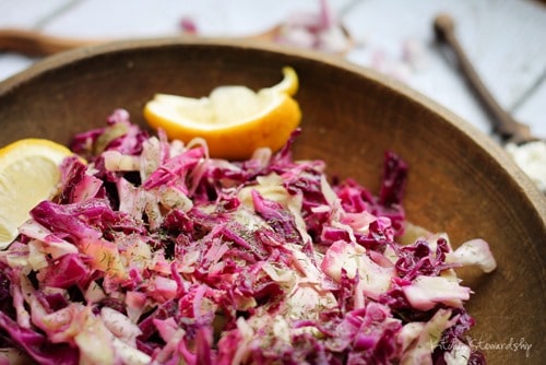 Cancer Fighting Red Cabbage Slaw Salad without cheese