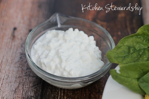 Cottage Cheese