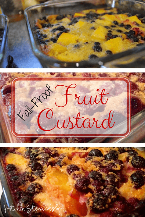 Fruit Custard PIN475