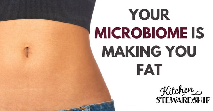 Your Microbiome is Making You Fat 1 F