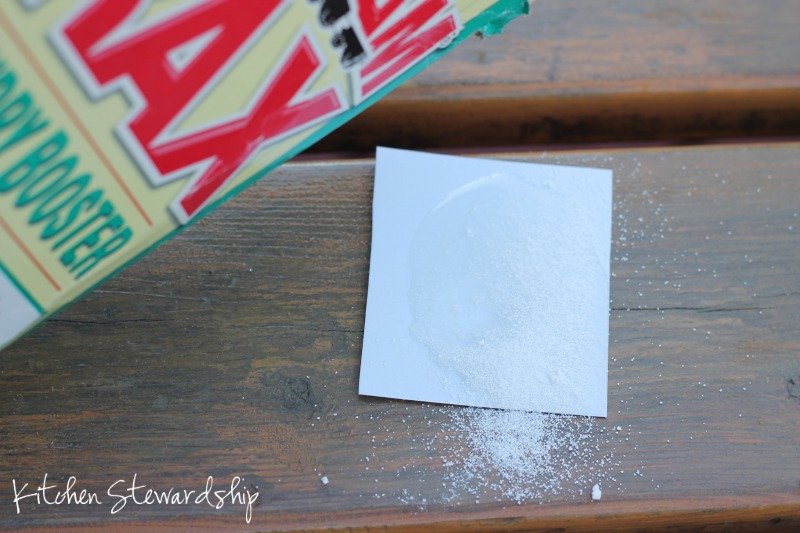 homemade non toxic ant poison with borax on index card
