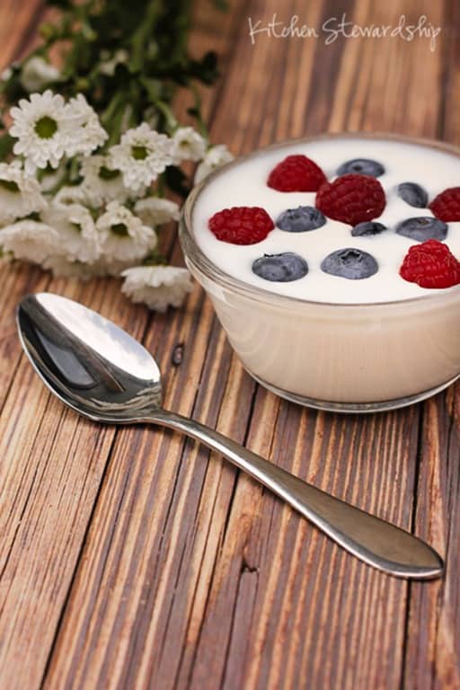 Easy Homemade Yogurt 