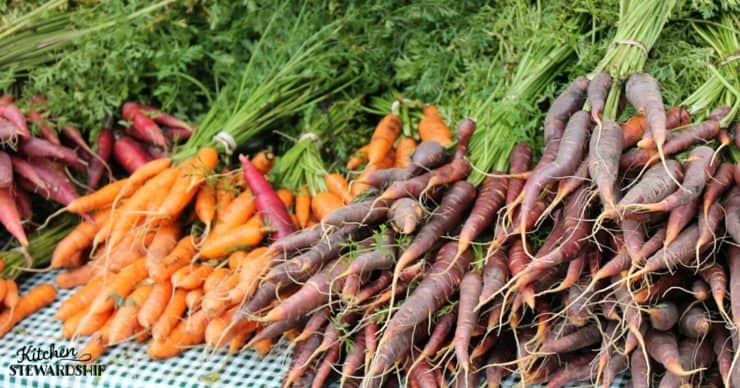 Yes, food helps! Tips and real-life experience of how taking baby steps to a real food diet can have measurable behavior differences in children diagnosed with Autism Spectrum Disorder.