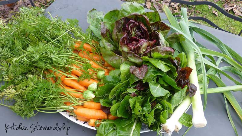 basket of vegetables from the farmer's market