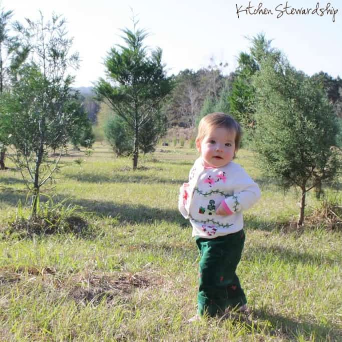 Nourish Your Spiritual Life with Advent (And Avoid Holiday Burnout) // Kitchen Stewardship