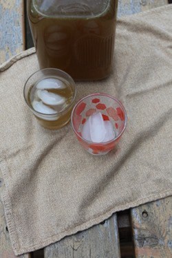 Homemade Gatorade Style Electrolyte Sports Drink with Stevia