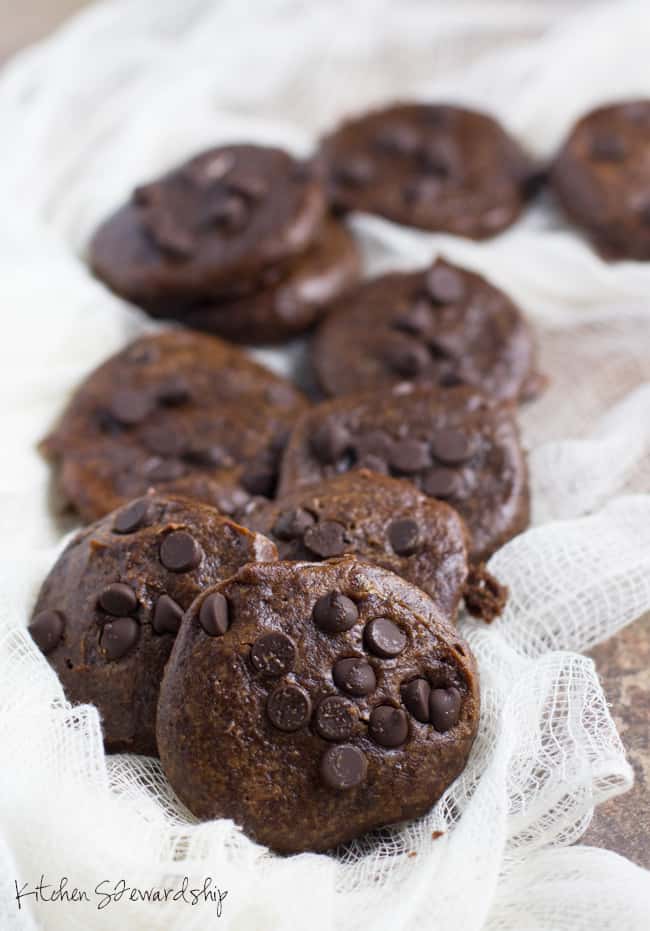 Double Chocolate Nut Butter Cookies. A healthier take on cookies, these have nut butter for protein, are mostly date sweetened, and are free of gluten, dairy, and eggs.