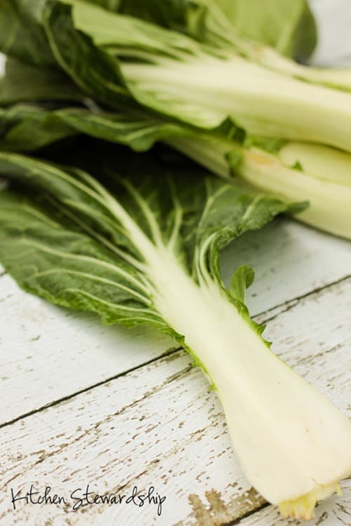 Bok Choy