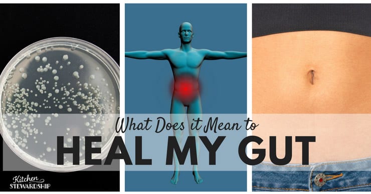 Simple strategies to help with gut healing.