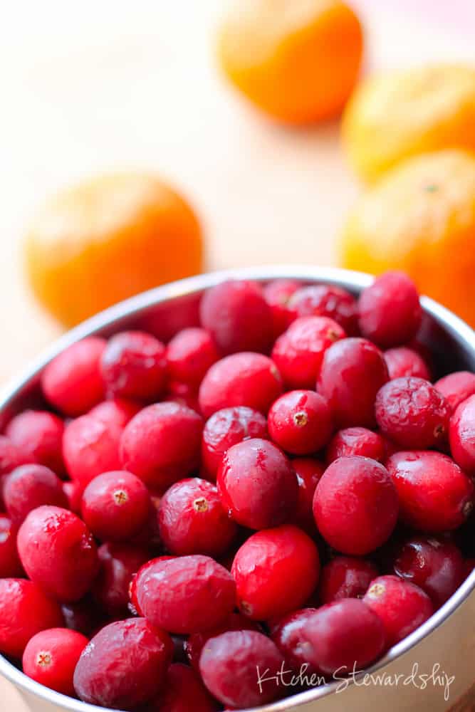 Homemade Cranberry Juice 