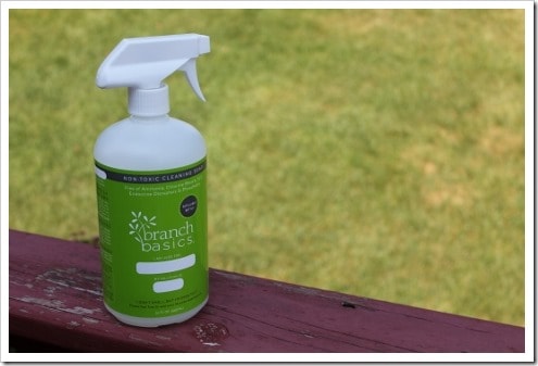 How Green is Your Clean? Hone your senses for green-washing as you up your game with green cleaners.