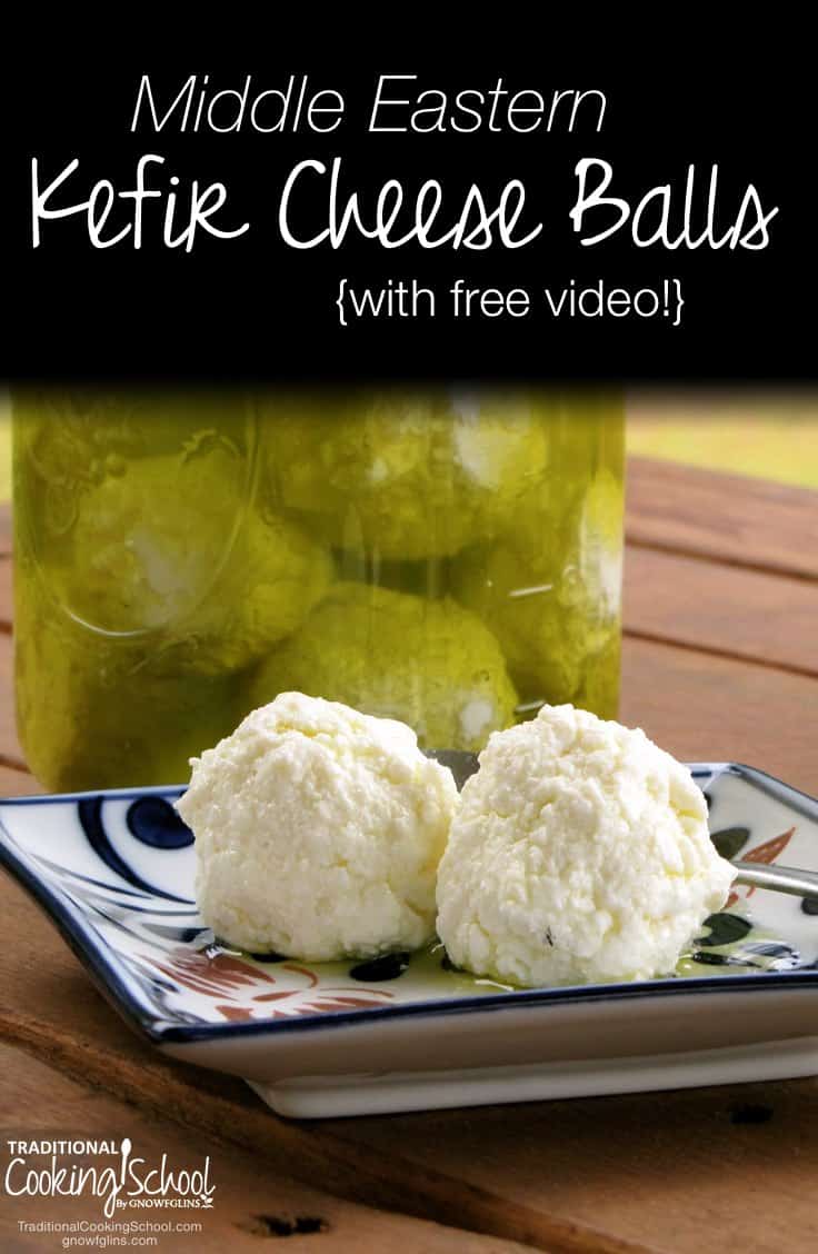 Kefir Cheese Balls Traditional Cooking School GNOWFGLINS main