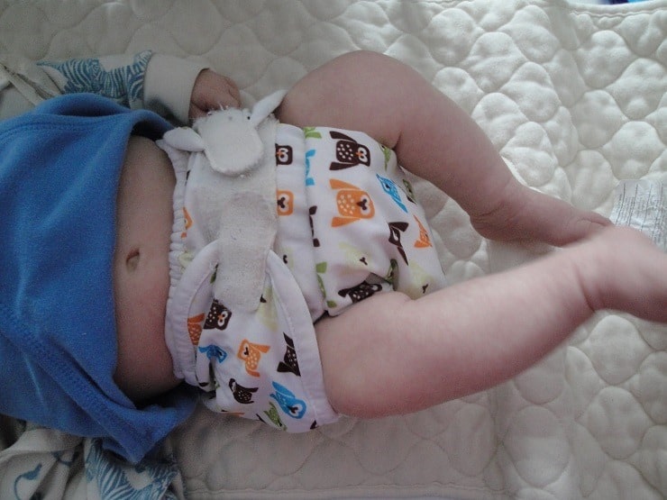 Thirsties cloth diaper fits on new baby