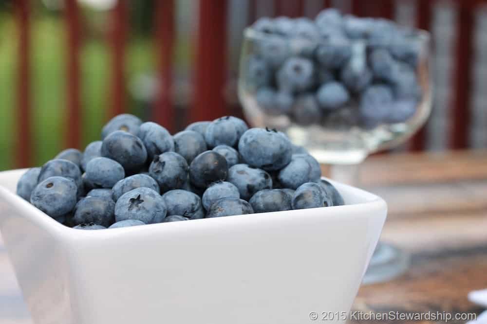 Bowl of antioxidant-rich blueberries on an outside table