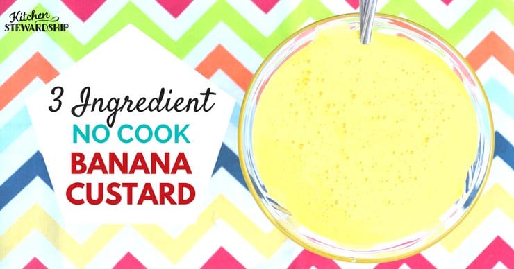 3 Ingredient no cook banana custard
